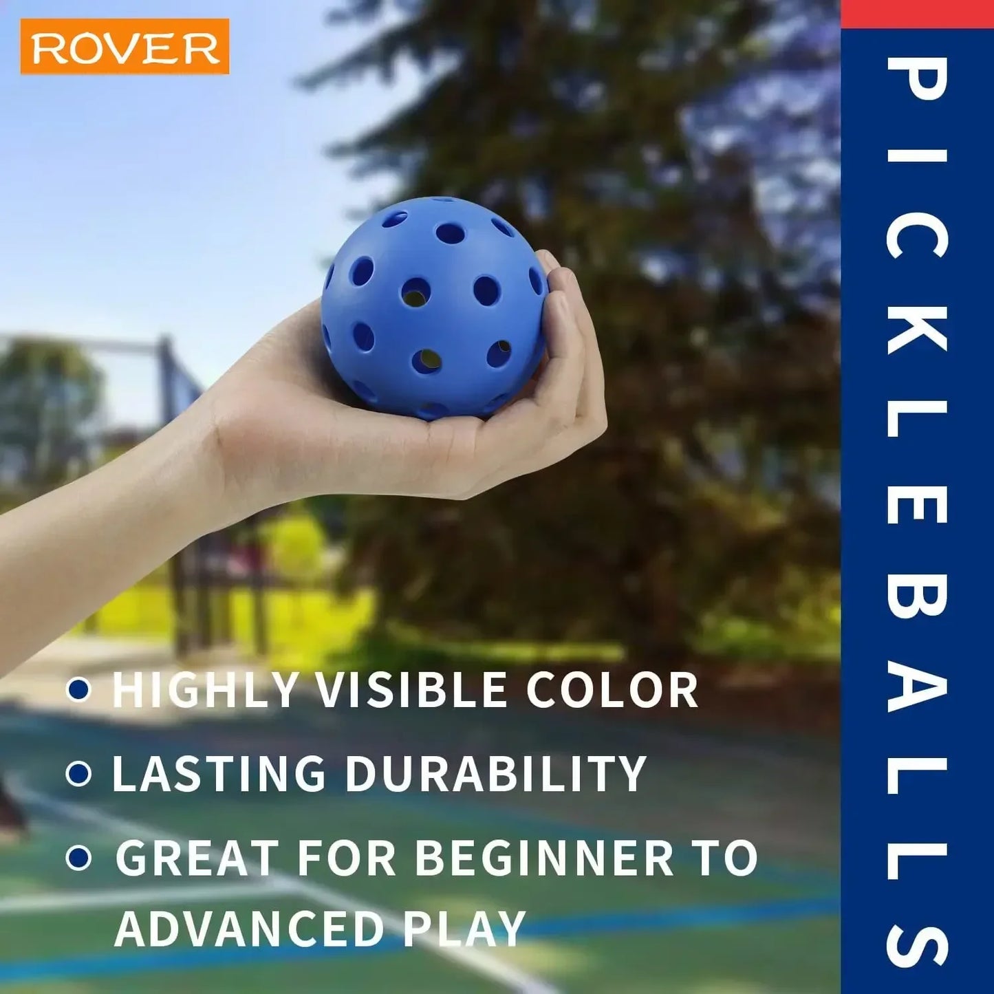PICKLEBALL BALLS